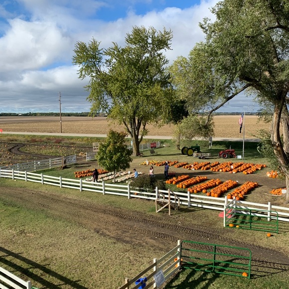 Meet your Posher, Ana - Picture 1 of 1